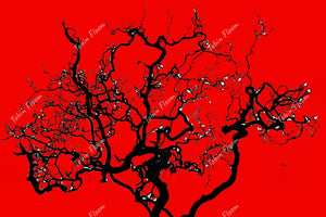 Bare Trees Red