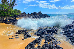 Hawaii: Rocky beach