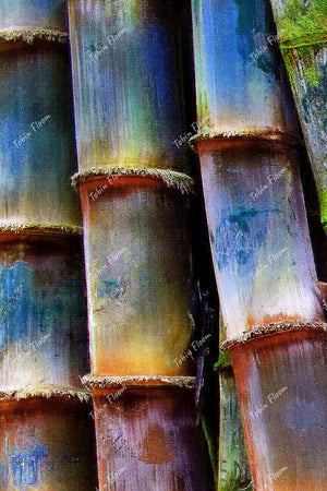Bamboo green close