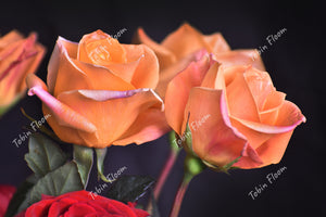 Floral: Orange roses